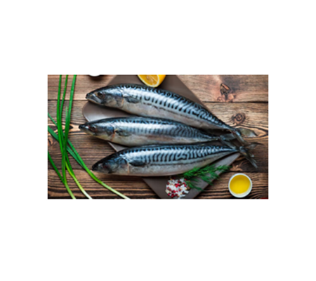 poissons posé sur une table