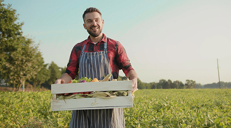 agriculteur dans un champ de salade